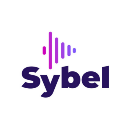 Logo_blog_Sybel